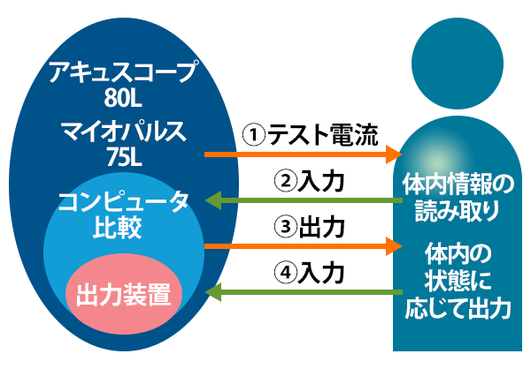 スポーツ
